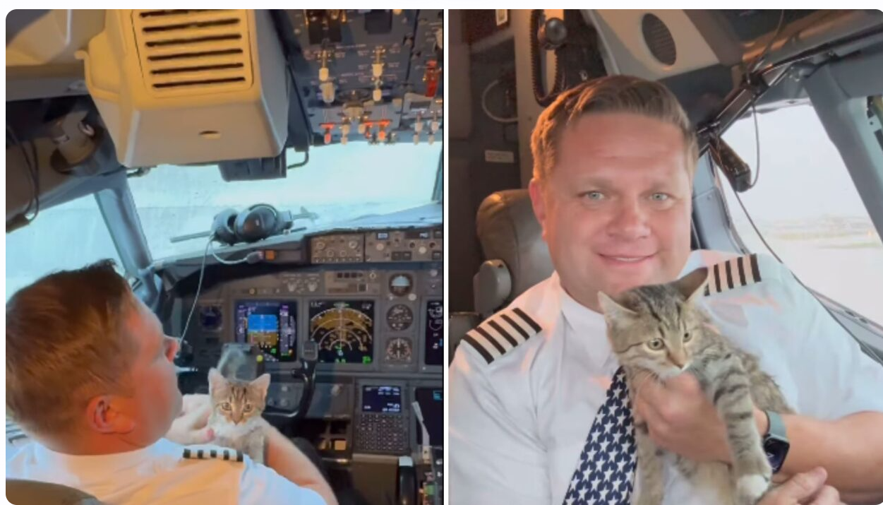 Denver Pilot Adopts Kitten Mid-Flight During Hurricane Rescue Mission